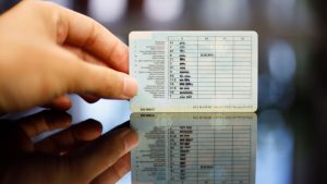 Водії мають 10 днів на заміну посвідчення: в МВС попередили – інакше будуть недійсними